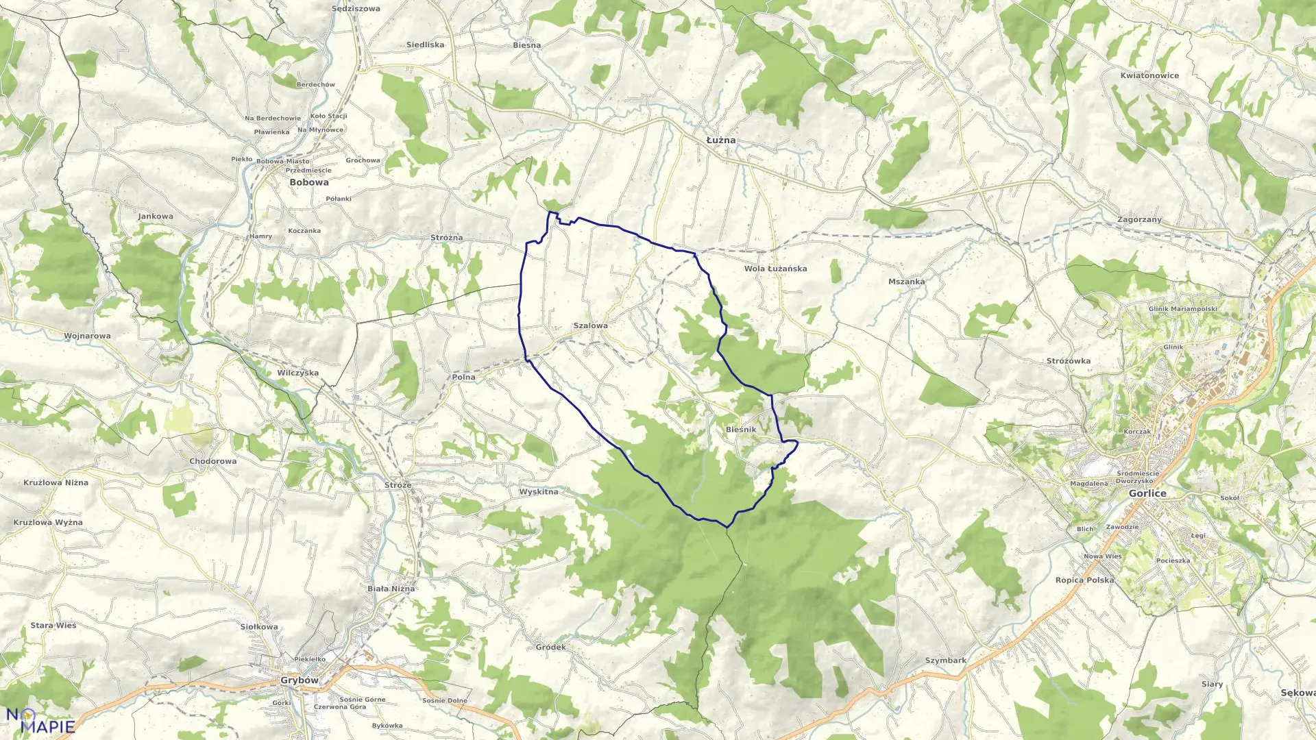 Mapa obrębu Szalowa w gminie Łużna